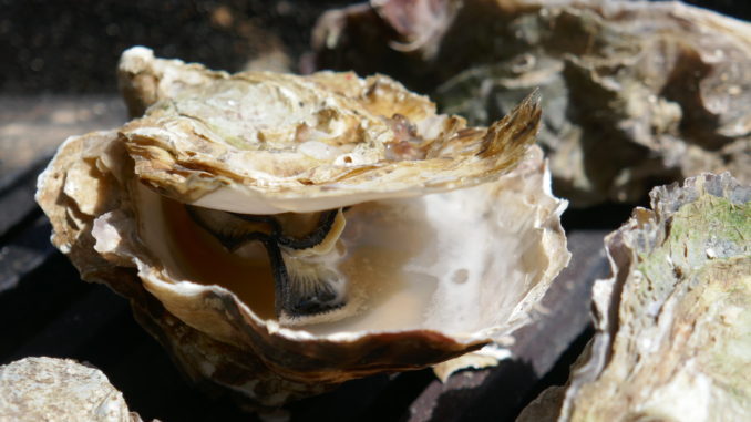 P1140093
